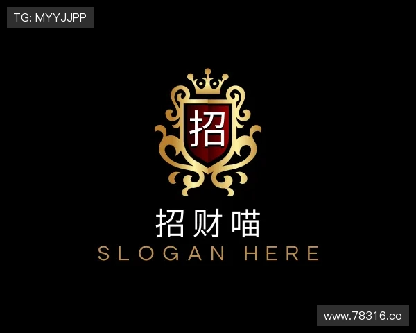 洞悉招财喵